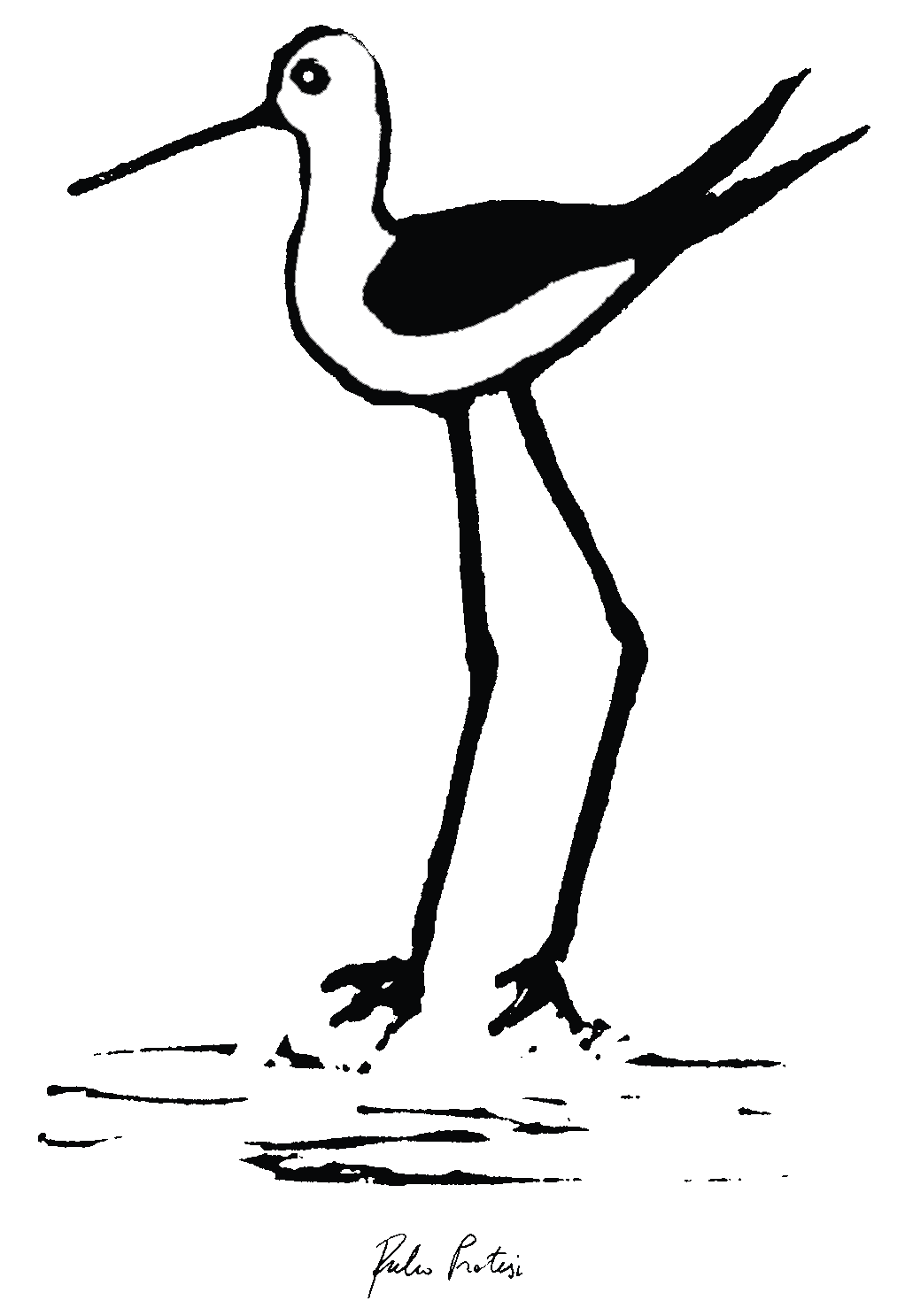 Copertina Alula