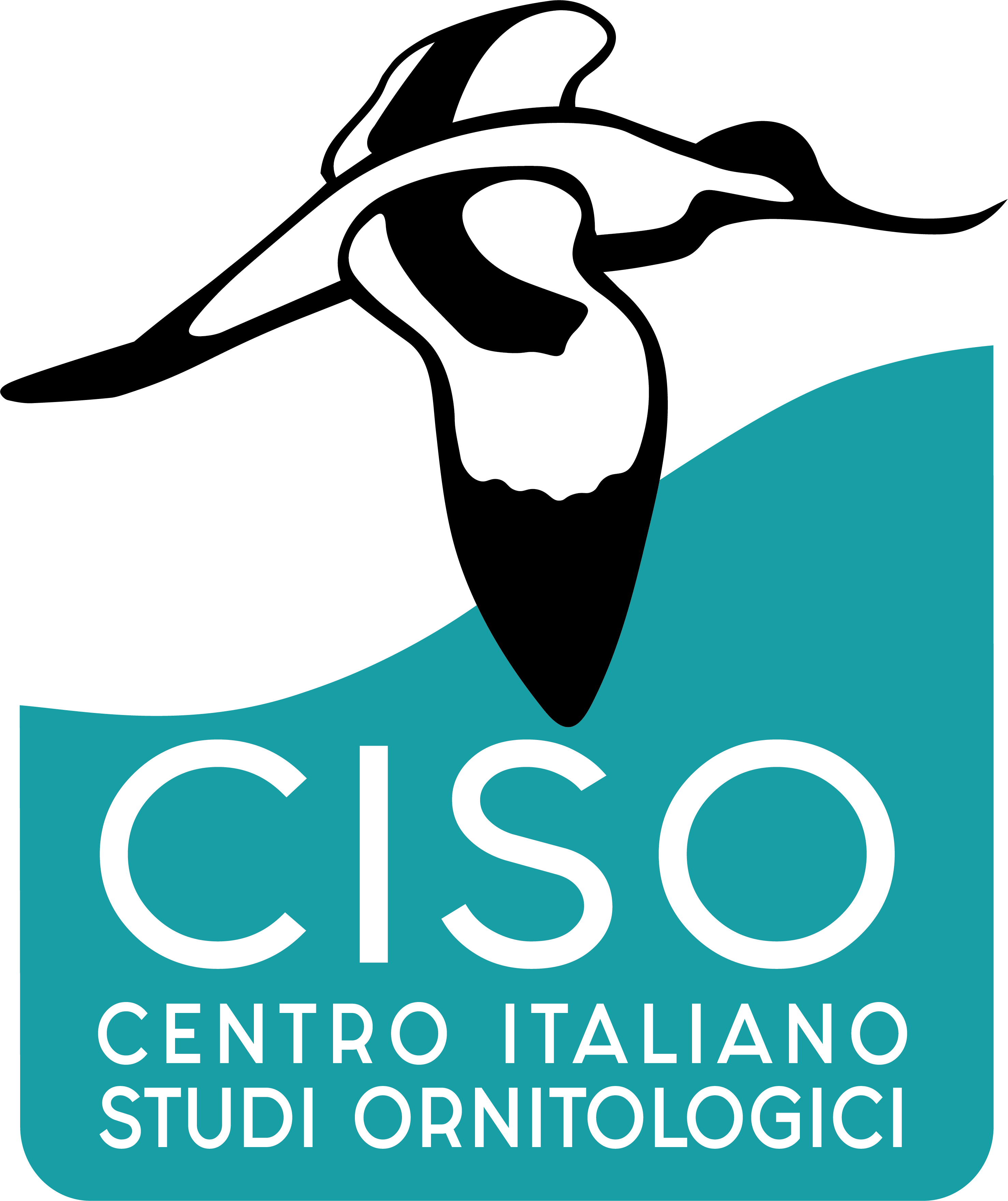Logo CISO